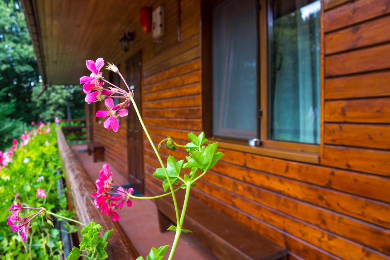 Pensiunea Casa Verde Bucuresti Экстерьер фото